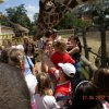 kirnduls gyrben 2012.05.27. 010